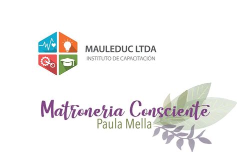 Convenios Instituto De Capacitación Mauleduc Ltda