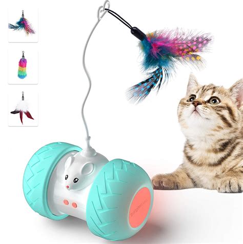 Best Toys For Sphynx Cats › Catchemistry