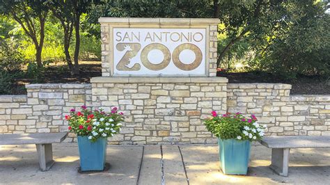 San Antonio Zoo Tclf