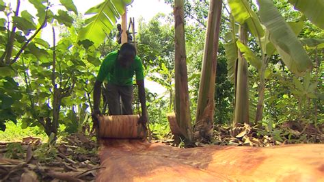 Ancient Technique Inspires Ugandas Fashion Designers Cnn Video