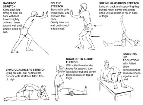 Exercise Routine Exercise Program Knee Replacement