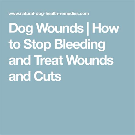 Home Remedy To Stop Dog From Licking Wound Natural Treatments For