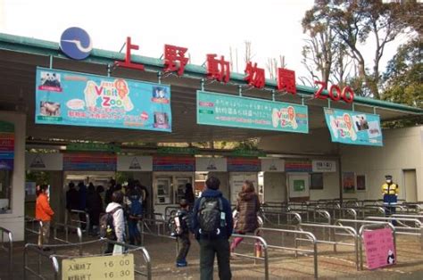 Explore tweets of 小舞酱 @wuuuuuucy on twitter. 上野動物園"正門の光景"が変わる 「桜木亭」と「上野こども ...