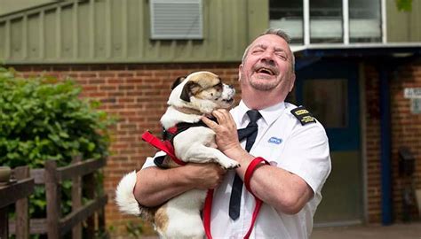 The Largest Animal Welfare Charity In The Uk Rspca Rspca Uk