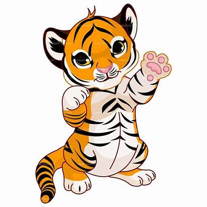 Tiger Clipart Royalty Cartoon Clip Face Drawings