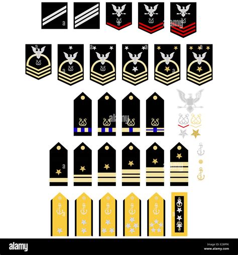 Military Ranks And Insignia Of The World Illustration On White