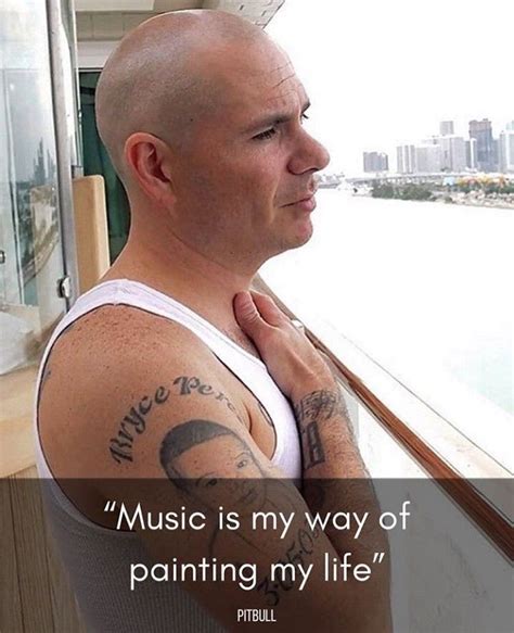 Pitbull The Singer Pitbull Rapper Pitbull Quotes Tough Times My