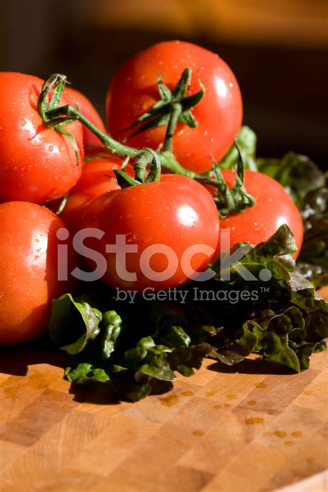 Fresh Tomatoes On Table Stock Photo Royalty Free Freeimages