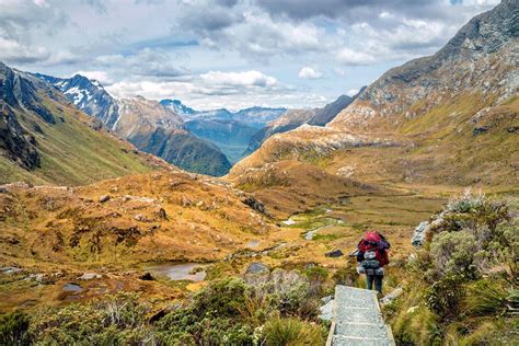8 Of The Best Hiking Trails In New Zealand London Evening Standard