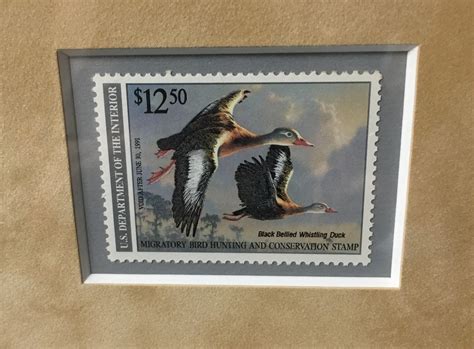 1990 1991 Federal Duck Stamp Print Black Bellied Whistling Etsy