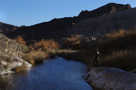 The Amargosa River Defies The Desert The New York Times