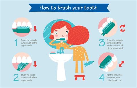 How To Brush Your Teeth Infographic Anchorage Pediatric Dentistry