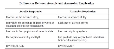 Write The Differences Between Aerobic And Anaerobic Respiration ZOHAL