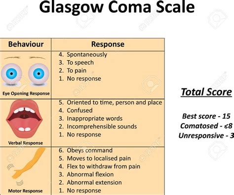 A person is assessed against the criteria of the scale, and the resulting points give a person's score. Image result for glasgow coma scale | Glasgow coma scale ...