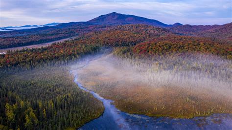 2560x1440 Beginning Of Autumn 1440p Resolution Hd 4k