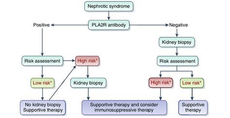 Proposed Algorithm For The Diagnosis Of Membranous Nephropathy See