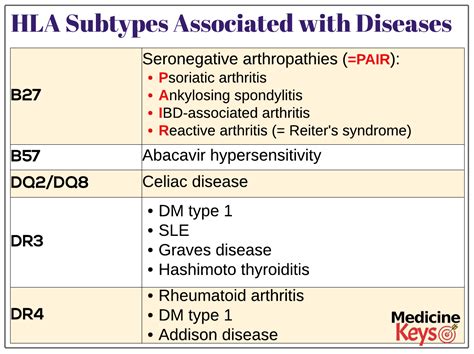 Hla Subtypes Associated With Diseases Medicine Keys For Mrcps