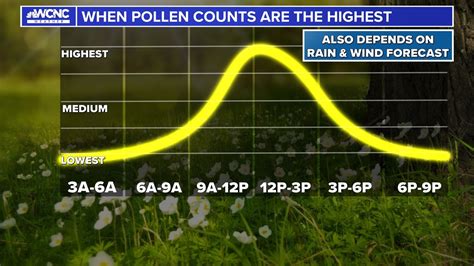 Verify Are Pollen Counts Higher At A Certain Time Of Day