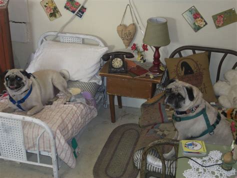 #shortswhat are these new rules!! Antique dog bedroom set (dogs not included) - Comfort, TX ...