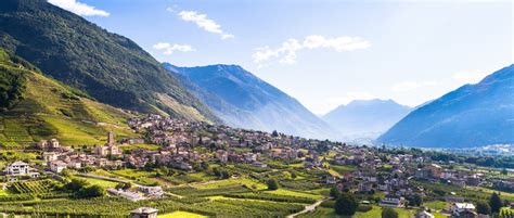 Valtellina Wine Region Guide Italian Wine Regions Cellartours