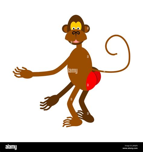 Hamadryad Isolated Monkey Red Butt On White Background Stock Vector