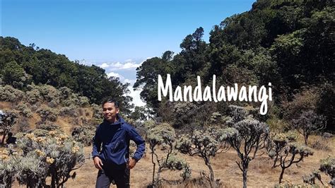 Gunung Pangrango Part 2 Akhirnya Summit Ke Puncak Taman