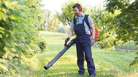 See more ideas about leaf blower, blowers, leaf blowers. The best Toro leaf blower - Chicago Tribune