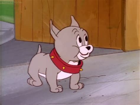 What Kind Of Dog Was Spike From Tom And Jerry
