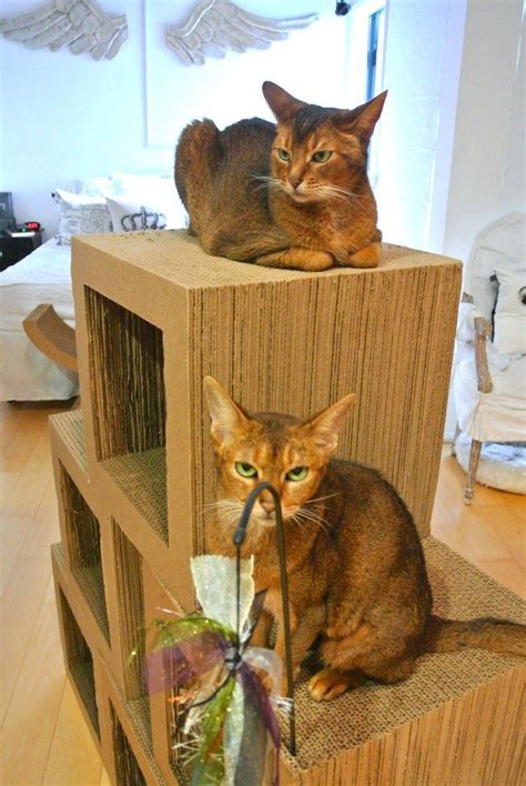 Have fun customising the diy cat scratcher, with different coloured or textured carpets, and different backing for the carpet. Kittyblock Cardboard Cat Scratcher | Cardboard cat house ...