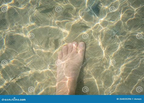 Male Feet Underwater On The Seashore Stock Photo Image Of Walking