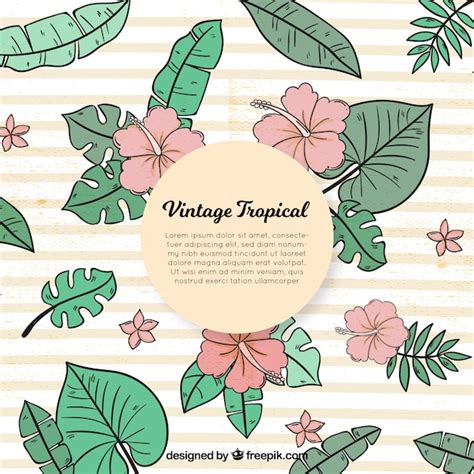 Free Vector Tropical Background In Vintage Style