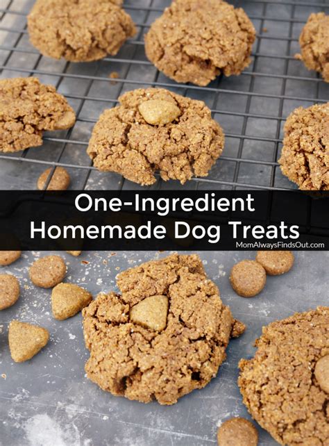 The label tells you the minimum protein, the minimum crude fat, the maximum crude fiber and the maximum moisture among other things. Easy Ways To Spend More Time With Your Dog + Homemade Dog ...