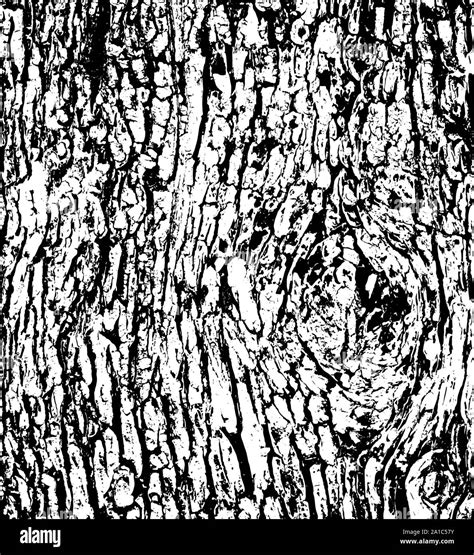 Tree Bark Texture Background Vector Stock Vector Image And Art Alamy