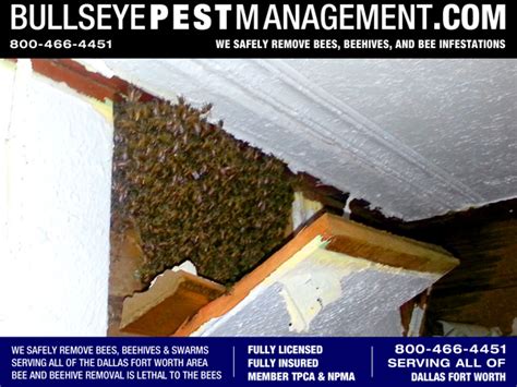 Fort Worth Bullseye Pest Management