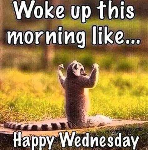 See more ideas about good morning quotes, wednesday morning, morning blessings. Pin by Dana Gandarinho on Legging Army Affiliate♡ | Funny ...