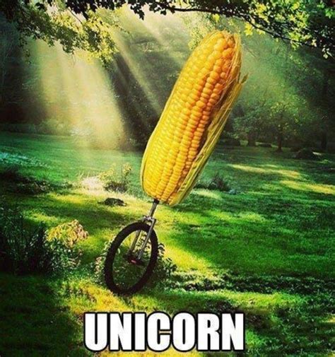 Corn On The Cob Corny Jokes Funny Puns Funny