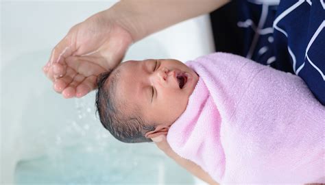 Como Dar Banho No Recém Nascido Cuidados Com Umbigo Frequência E Mais