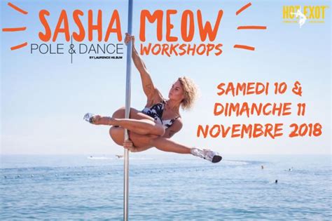 Workshops Sasha Meow Novembre 2018 Actualités