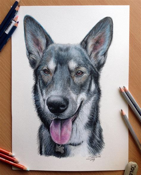 See dog drawing outline simple stock video clips. Pencil drawing of a Dog by AtomiccircuS on DeviantArt