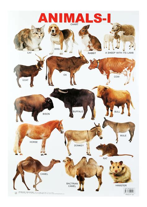 Indian Domestic Animals Pictures With Names
