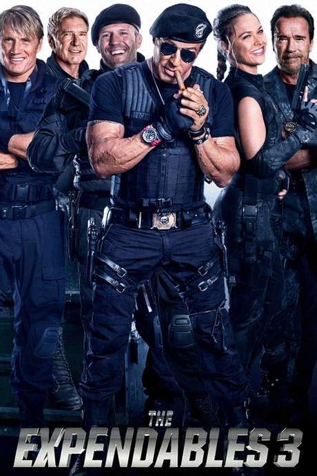 ‎the Expendables 3 2014 Directed By Patrick Hughes Reviews Film