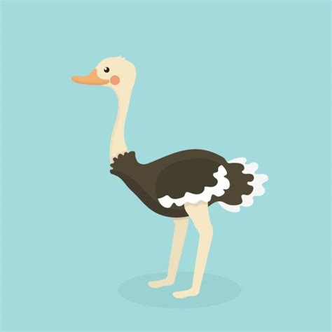 Ostriches Cartoon Illustrations Royalty Free Vector Graphics And Clip