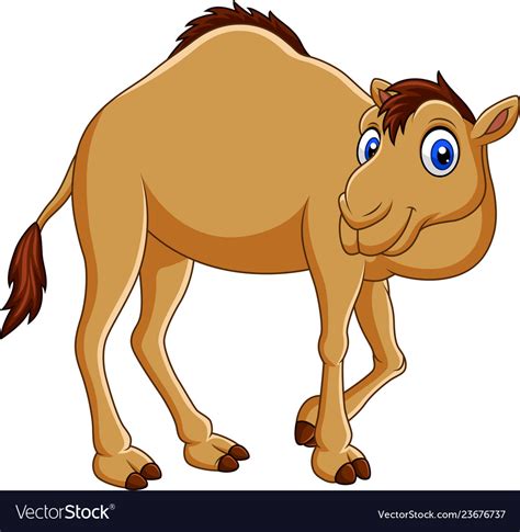 Cartoon Camel Isolated On White Background Vector Image