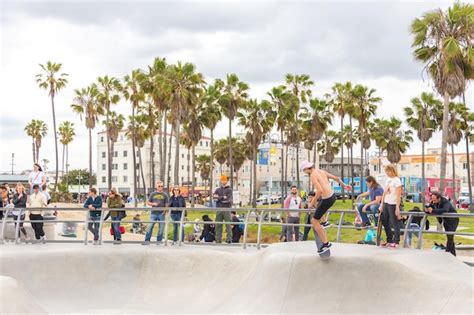 Premium Photo Concrete Ramps And Palm Trees At The Popular Venice