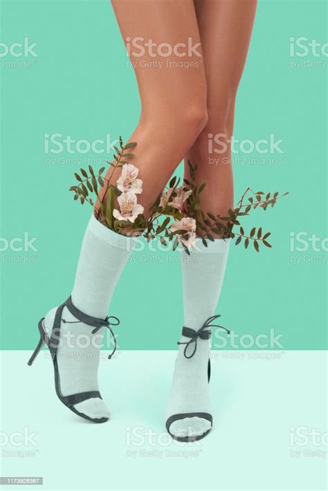 Pretty Image On Soft Mint Festive Holiday Content Long Slim Legs