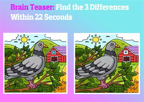 Brain Teaser Find The 3 Differences Within The 22 Seconds