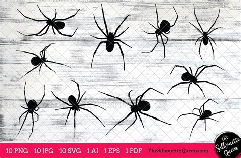Black Widow Spider Silhouettes Clipart Ai Eps Svgs S Pngs Pdf
