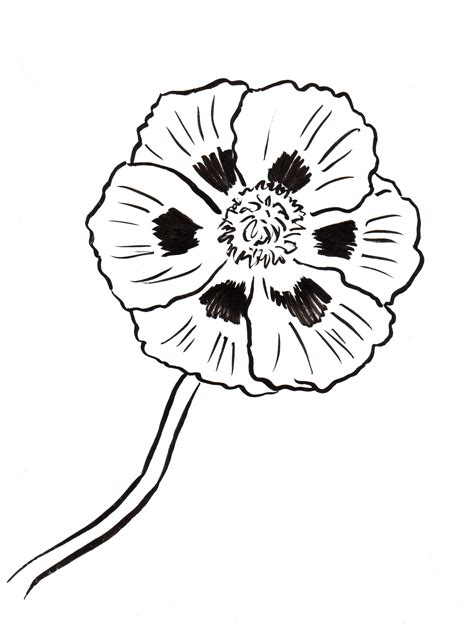A first in procreate, artists can now work in cmyk color profiles. Poppy Coloring Page - Art Starts for Kids
