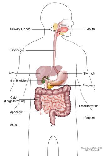 You need surgery to yank your appendix. Pancreatic cancer abdominal fluid retention, Medical ...