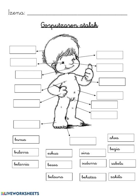 Gorputzaren Atalak Ficha Interactiva Fichas Lectura De Palabras